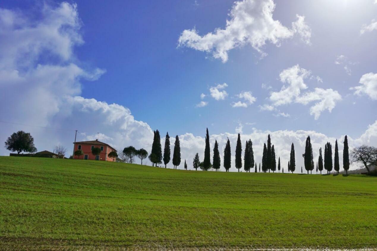 Апартаменти Casa Dante Vivo d'Orcia Екстер'єр фото